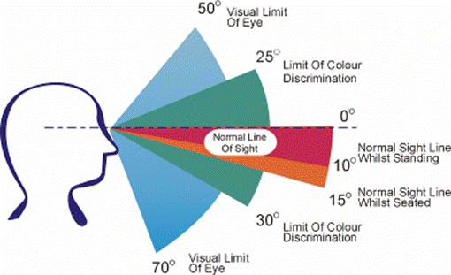 Image result for cone of vision