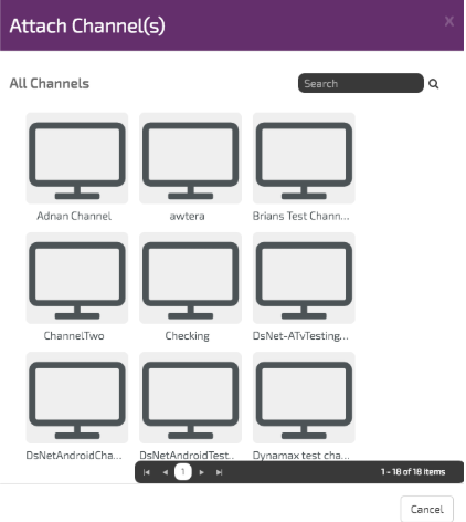 digitalsignage.NET Attached channel