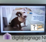 digital advertising screens